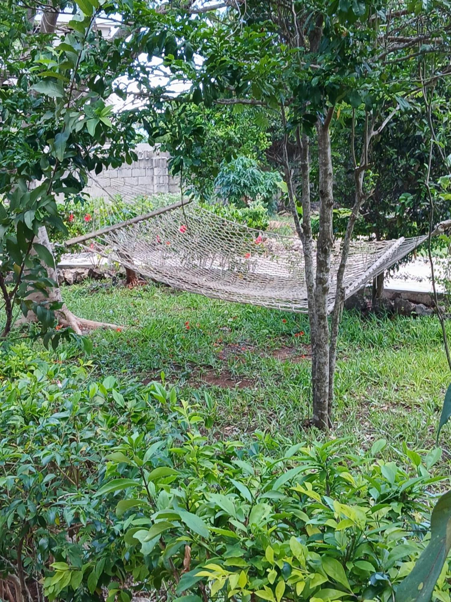Majani Breeze Villa นูงวี ภายนอก รูปภาพ