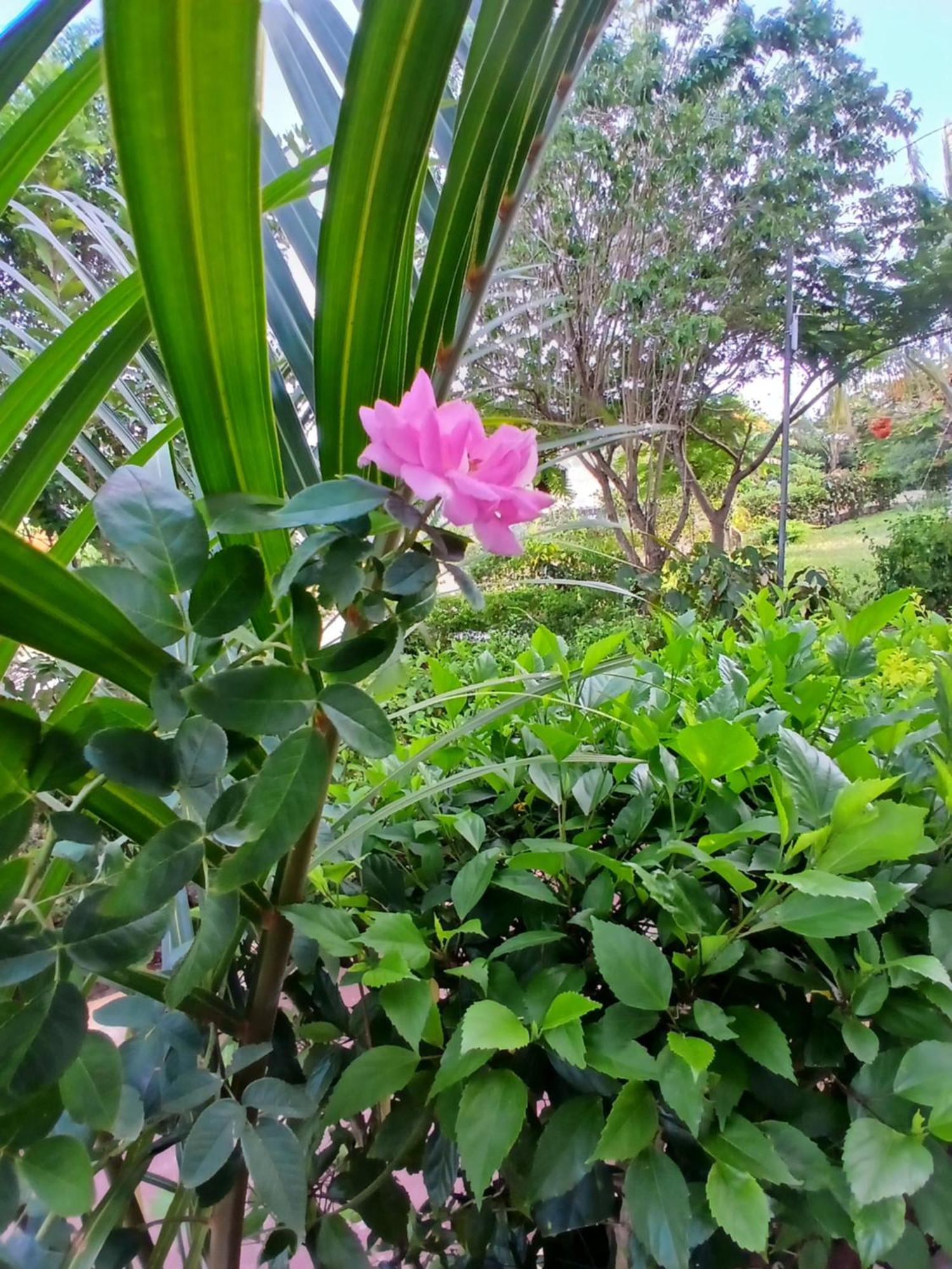 Majani Breeze Villa นูงวี ภายนอก รูปภาพ